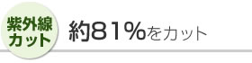 [ 紫外線カット ] 約82％をカット