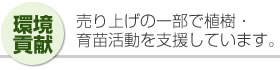 [ 環境貢献 ] 売り上げの一部で植樹・育苗活動を支援しています。